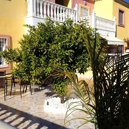 Apartment Modern Oasis: With Shared Pool Torrevieja